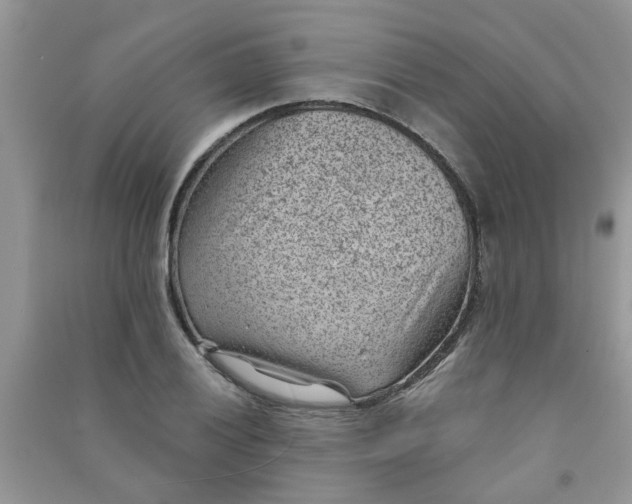 X0000091001028200708161934
