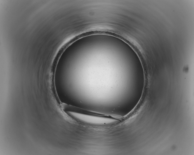 X0000091001029200708161934