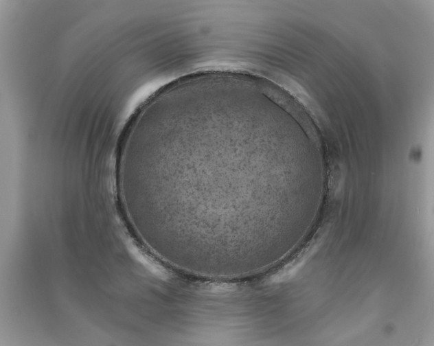 X0000091001030200708161934