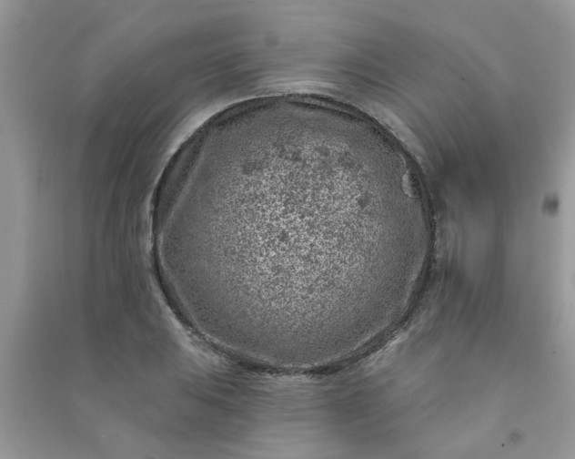 X0000091001031200708161934