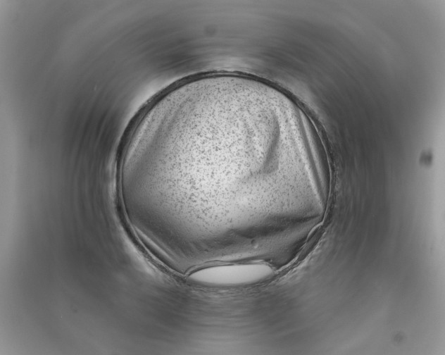 X0000091001032200708161934
