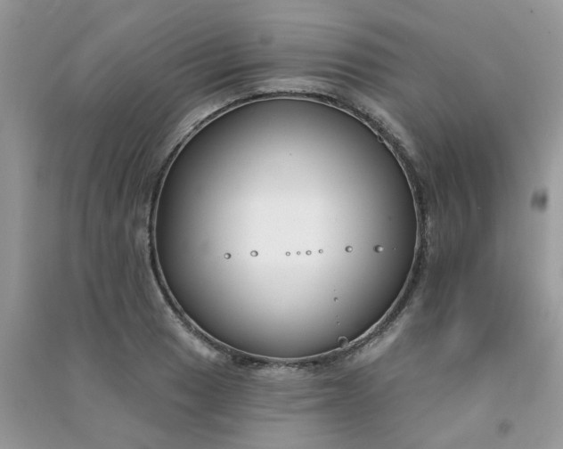 X0000091001033200708161934