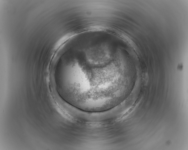 X0000091001034200708161934