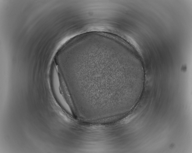 X0000091001035200708161934
