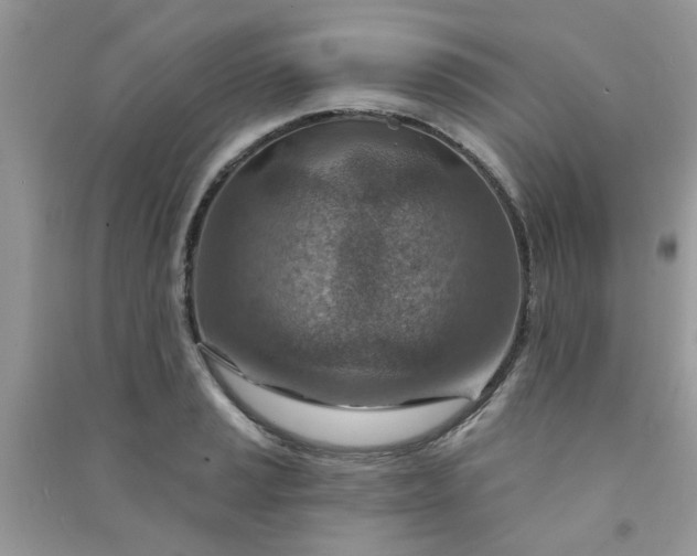 X0000091001037200708161934