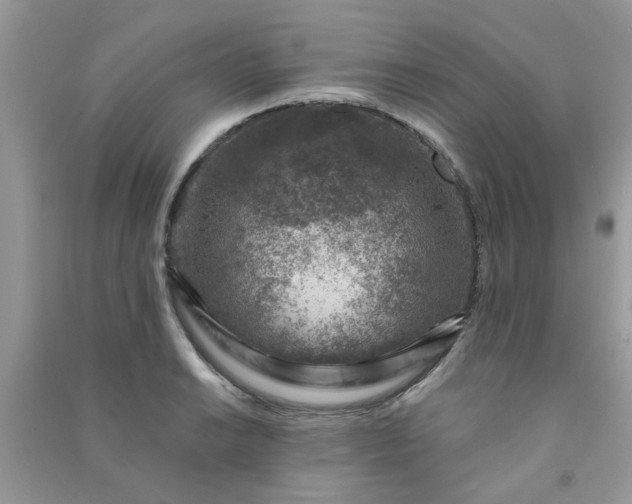 X0000091001038200708161934