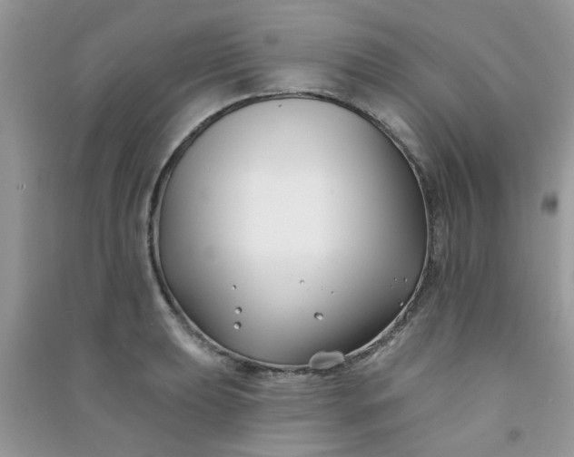 X0000091001039200708161934