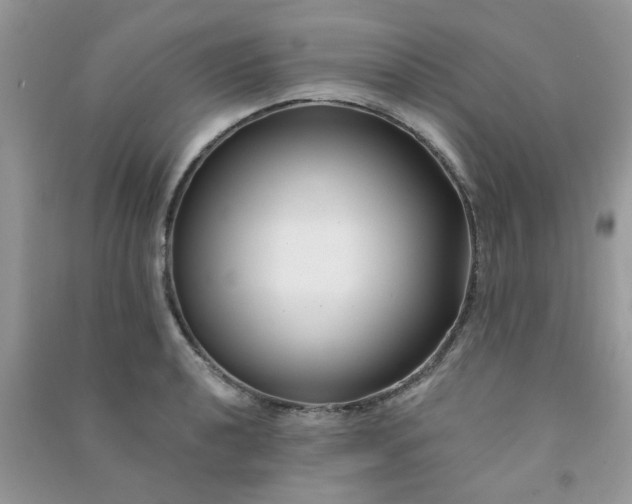 X0000091001040200708161934