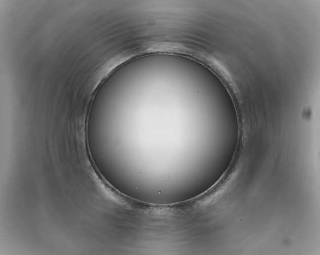 X0000091001041200708161934