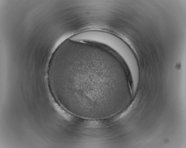 X0000091001042200708161934
