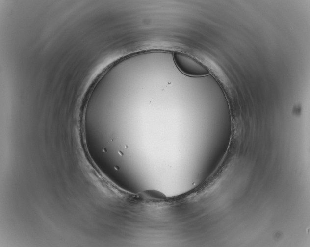 X0000091001043200708161934