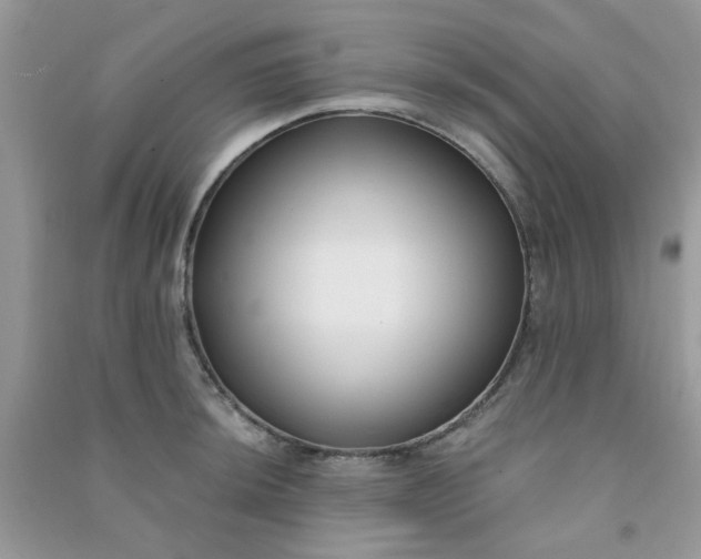 X0000091001044200708161934