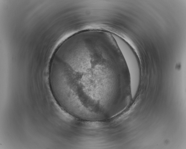X0000091001045200708161934