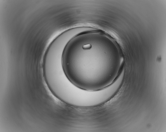 X0000091001046200708161934