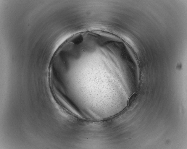 X0000091001047200708161934
