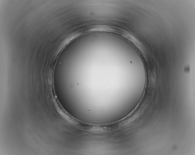 X0000091001049200708161934
