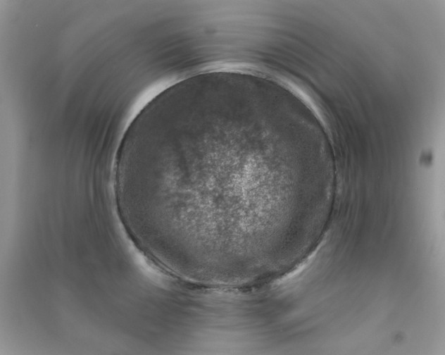 X0000091001050200708161934