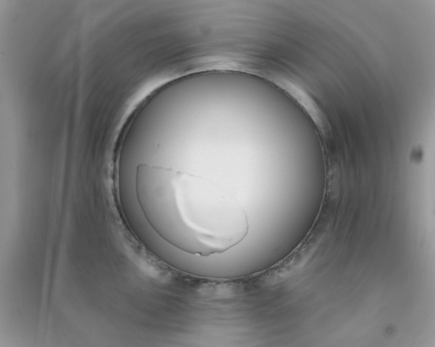 X0000091001051200708161934