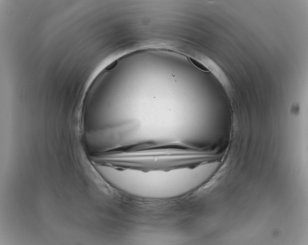 X0000091001052200708161934