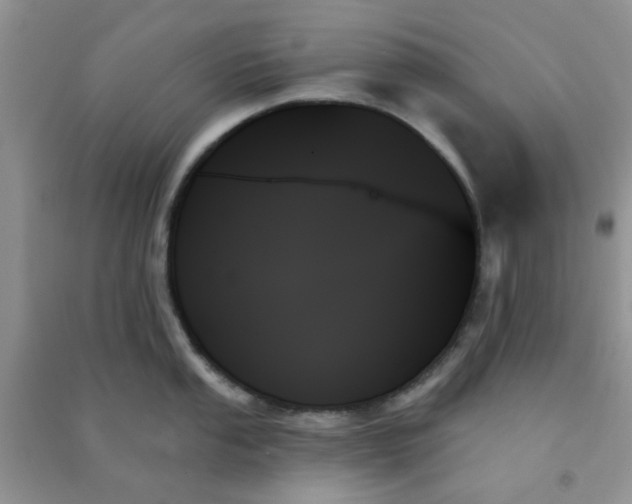 X0000091001053200708161934