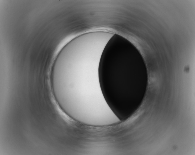 X0000091001054200708161934