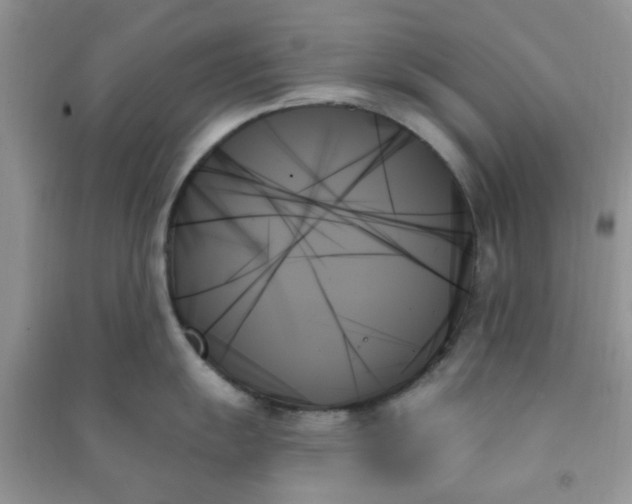 X0000091001055200708161934