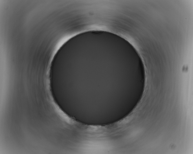 X0000091001056200708161934