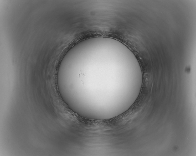 X0000091001057200708161933