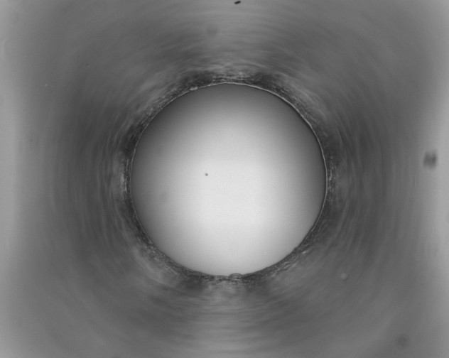 X0000091001058200708161933