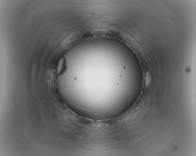 X0000091001059200708161933