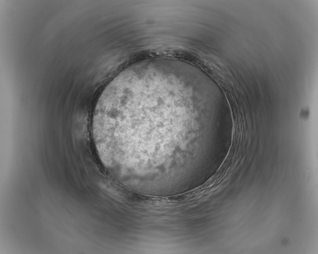 X0000091001060200708161933