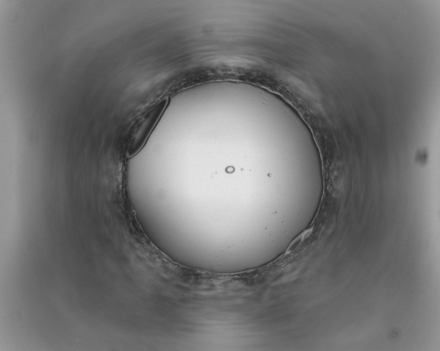 X0000091001061200708161933