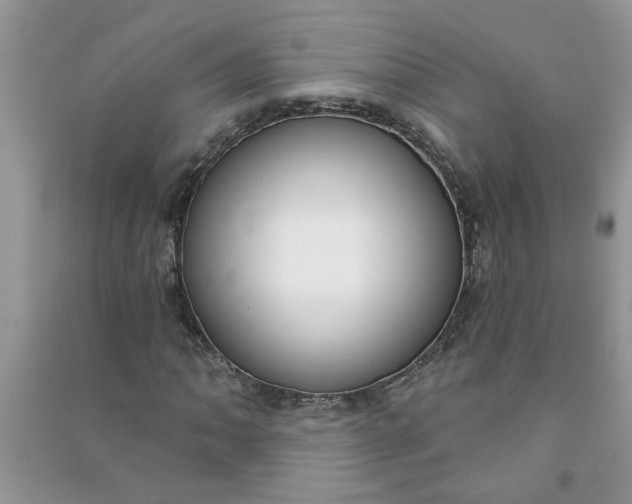 X0000091001062200708161933