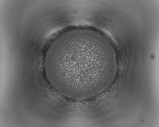 X0000091001063200708161933