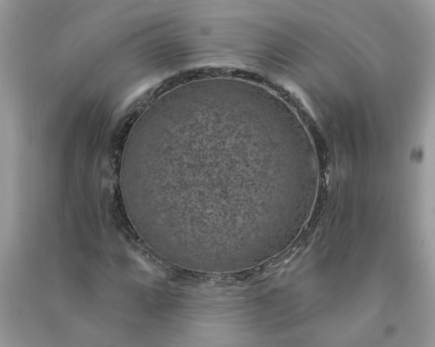 X0000091001064200708161933