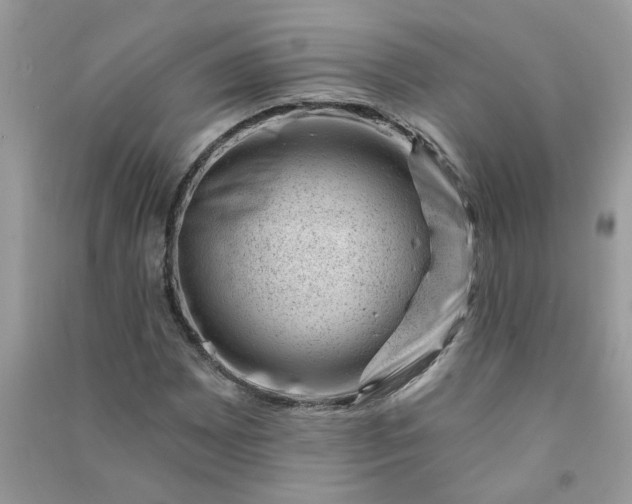 X0000091001065200708161933