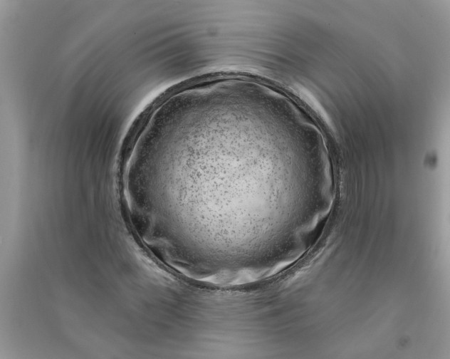 X0000091001068200708161933