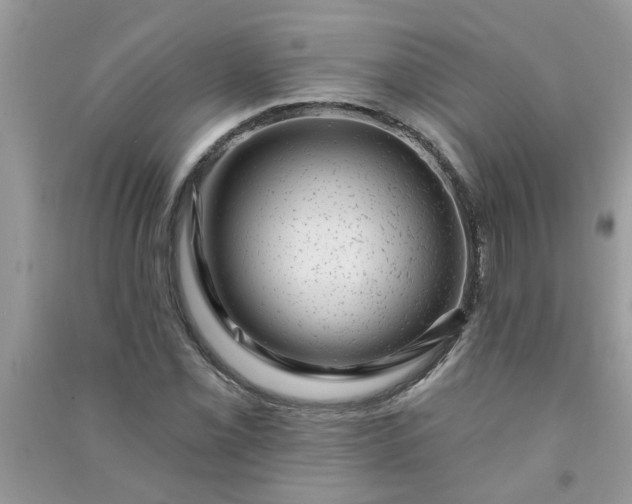 X0000091001069200708161933