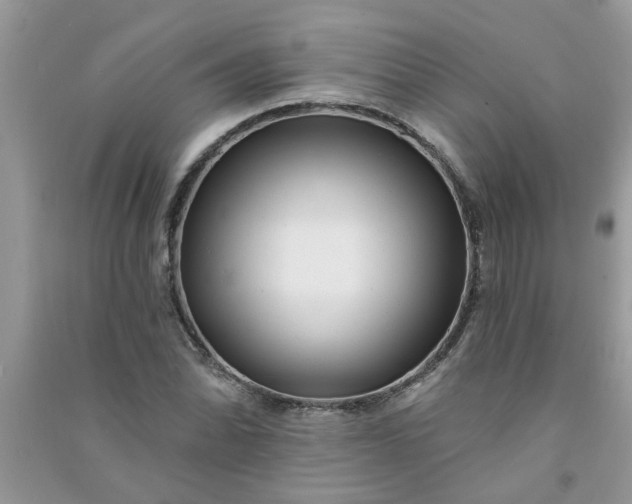 X0000091001070200708161933