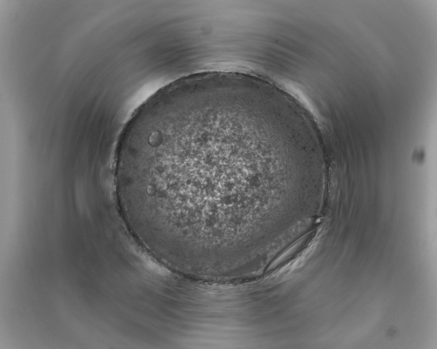 X0000091001071200708161933