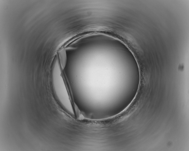 X0000091001073200708161933