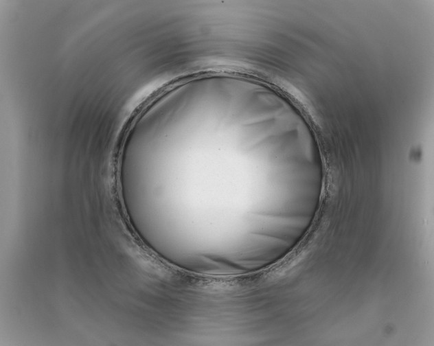 X0000091001074200708161933