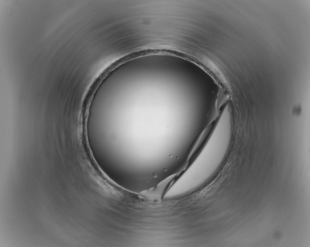 X0000091001076200708161933