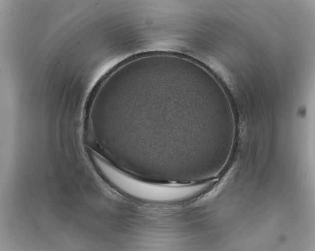 X0000091001077200708161933