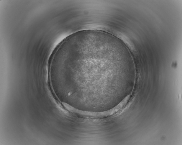 X0000091001079200708161933