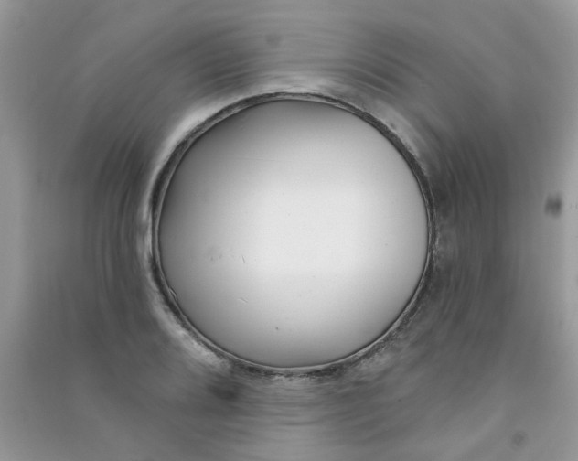 X0000091001080200708161933