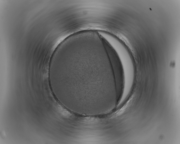 X0000091001081200708161933