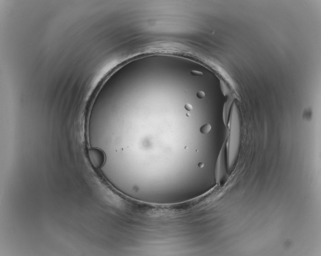 X0000091001083200708161933