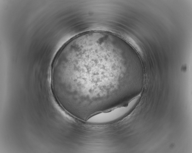 X0000091001084200708161933