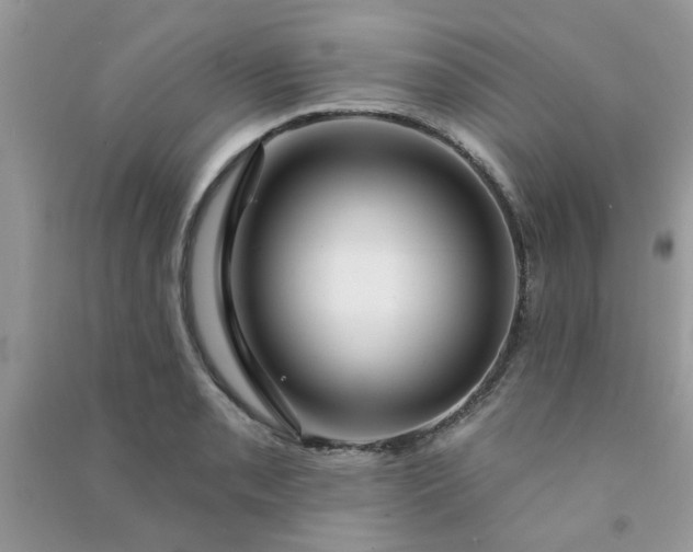 X0000091001085200708161933